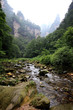 China national forest park - Zhangjiajie China national forest park - Zhangjiajie