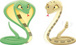 Two Snakes: Cobra and Pit Viper.