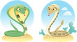Two Snakes: Cobra and Pit Viper with background.
