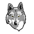 wolf