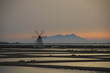 saltworks in sicily, italy saltworks in sicily, italy