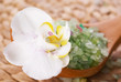 Bath salt and flowers of orchids