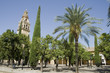 patio de los naranjos