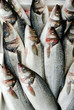 Fish in Market