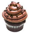 Chocolate Chip Cupcake