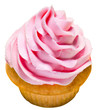 Vanilla cupcake with pink frosting