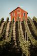 Winery Red Barn