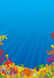 Coral reef