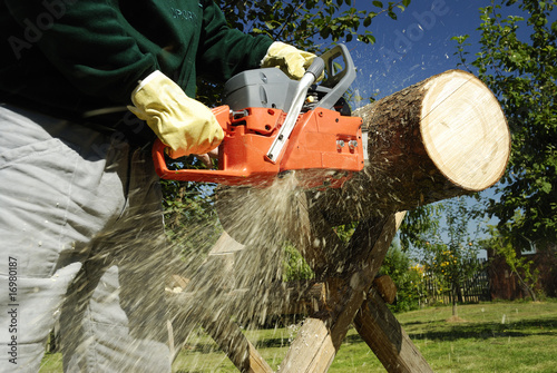 Foto: The chainsaw The chainsaw