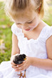Little girl holding a little black chick for the first time.