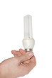A hand holds an energy efficient lightbulb