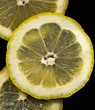 3 Lemon Slices on Black background