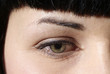 Foto: grün Auge grün Auge