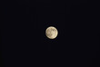 lune