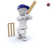 man playing cricket