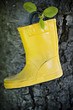 yellow boot in tree yellow boot in tree