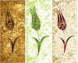 Antique ottoman grungy wallpaper vector tile design set