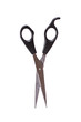 scissors