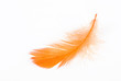 feather