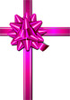 Pink Bow Pink Bow
