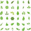 Siluetas 0126