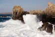 ocean tempest