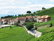 Famouse vineyards in Lavaux region against Geneva lake
