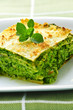 Plate of vegeterian lasagna