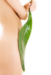 female torso with green leaf over white