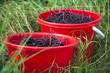 Photo: 2 rote Eimer 2 rote Eimer