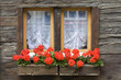 Fenster mit Blumenkasten Fenster mit Blumenkasten
