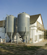 chicken farm and silos chicken farm and silos
