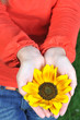 young woman hands with flowers outdoor