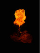 Fire on a black background