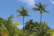 SAINT BARTH