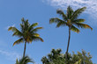 SAINT BARTH
