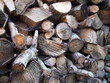 Holz