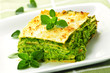 Plate of vegeterian lasagna Plate of vegeterian lasagna
