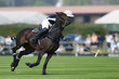 Open de france_02