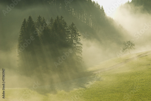 Foto: Nebelstimmung Nebelstimmung
