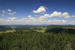 Schwarzwald II