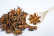 Star Anise spice with spoon