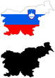 vector  map and flag of slovenia