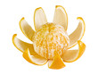 orange with peel orange with peel