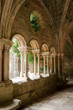 Cloître de l'abbaye de Fontfroide Cloître de l'abbaye de Fontfroide
