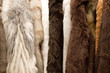 Furs