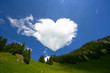 Love is in the air