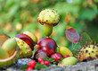 Herbst Basteleien