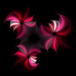 Abstract fractal flowers