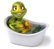 Tortue dans son bain Tortue dans son bain